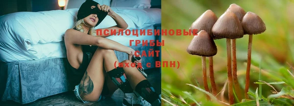 ПСИЛОЦИБИНОВЫЕ ГРИБЫ Покачи