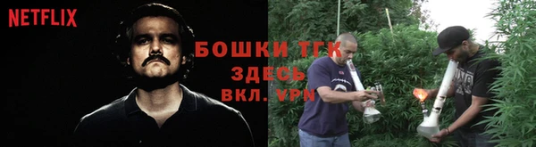 ПСИЛОЦИБИНОВЫЕ ГРИБЫ Покачи