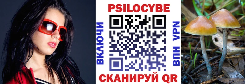 купить наркотик  Теберда  Псилоцибиновые грибы ЛСД 